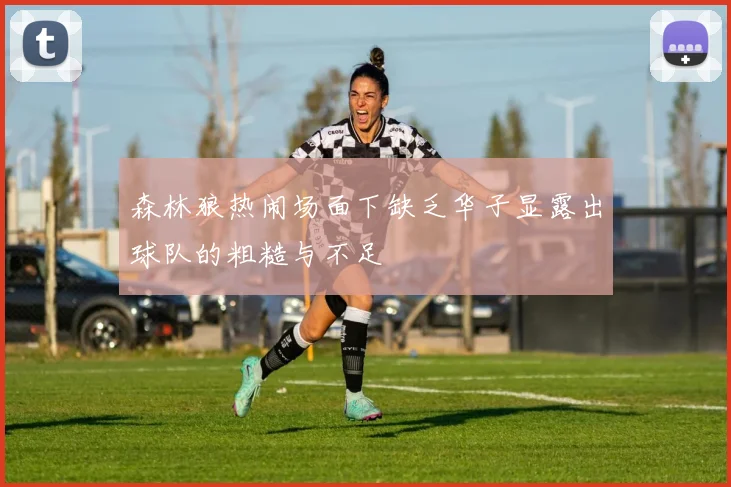 森林狼热闹场面下缺乏华子显露出球队的粗糙与不足