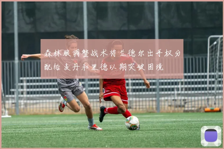 森林狼调整战术将兰德尔出手权分配给麦丹和里德以期突破困境